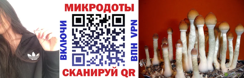 закладка  Белая Холуница  Галлюциногенные грибы GOLDEN TEACHER 